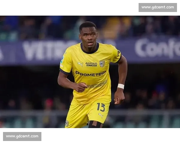 迪马济奥确认：国米 2600 万欧敲定帕尔马锋线新星博尼